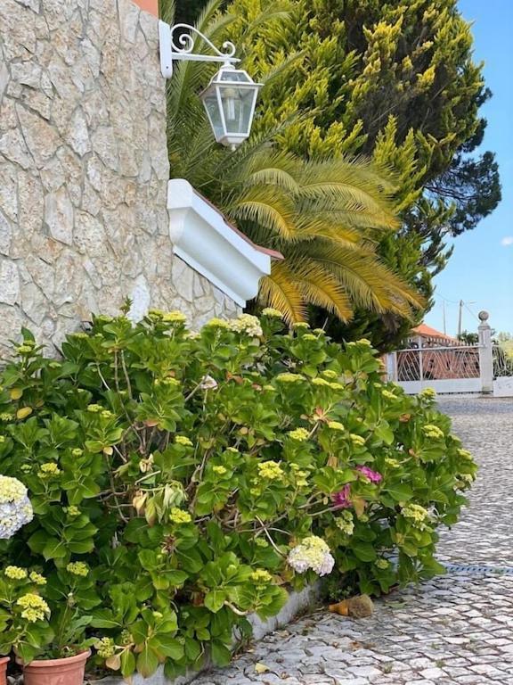 Quinta Do Alto Dos Pinheiros Vila Sao Joao da Ribeira Exterior foto