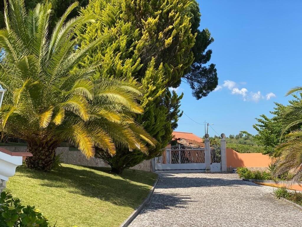 Quinta Do Alto Dos Pinheiros Vila Sao Joao da Ribeira Exterior foto