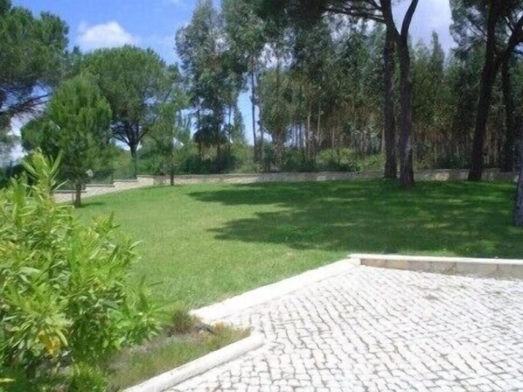 Quinta Do Alto Dos Pinheiros Vila Sao Joao da Ribeira Exterior foto